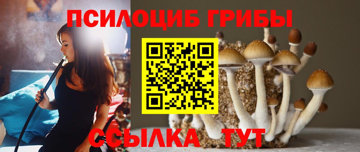 Галлюциногенные грибы Psilocybine cubensis  где продают наркотики  Лосино-Петровский  Вход с VPN 